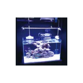 屋内観賞魚水槽用照明『LEDランプ』?.png