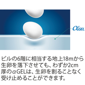 egg.jpg