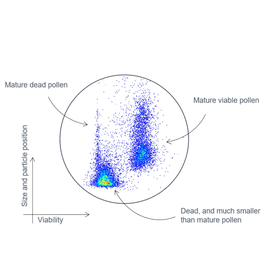 Amphasys_scatterplot_aberrant_tomato_pollen-768x505.png