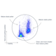 Amphasys_scatterplot_aberrant_tomato_pollen-768x505.png