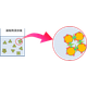 img2.png