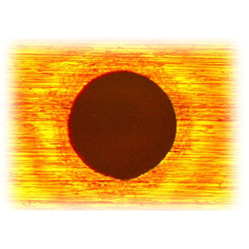 ?コンフォーマルBVH 画像2.png