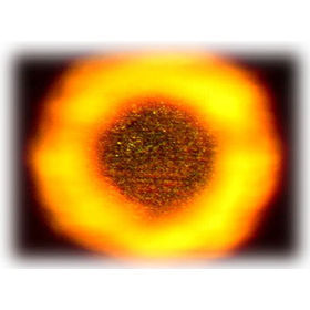 ?コンフォーマルBVH 画像3.png