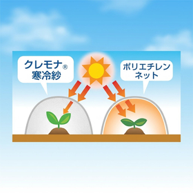 20261005_クレモナ寒冷紗サブ画像２.png