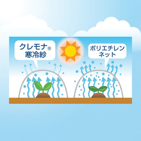 20261005_クレモナ寒冷紗サブ画像３.png