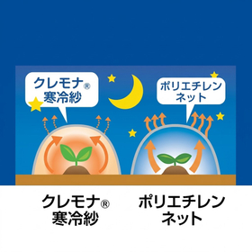 20261005_クレモナ寒冷紗サブ画像４.png