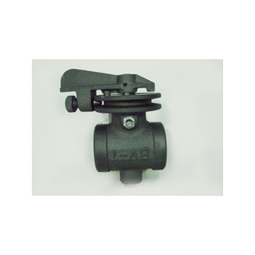 hoki02_BV25A.jpg