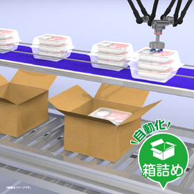 パック箱詰めイプロス_メイン画像-04.jpg