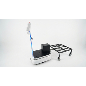 startow300_2.jpg