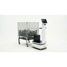 startow300_3.jpg
