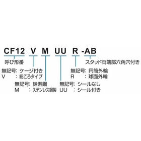CFAB_形式.jpg