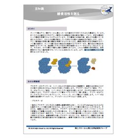 酵素活性を測るカタログ.png