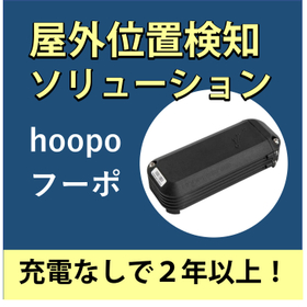 hoopo-thumbnail.jpg