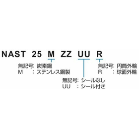NAST-ZZ形式.jpg