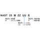NAST-ZZ形式.jpg