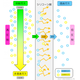 pd-nagasep_img_05.png