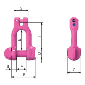 VV-GSCH_size.jpg