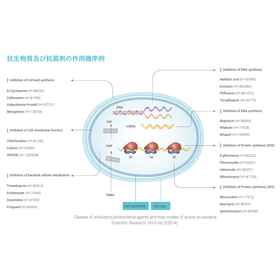 HY-L002_image4.png