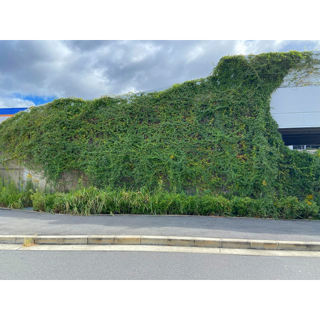 20211017点秋15000049ｴﾃﾞｨｵﾝ東淡路 (1).jpg