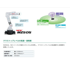 MZS05_3.jpg