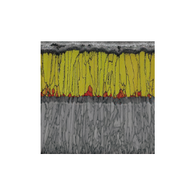 2023-04-25_14h05_22.png