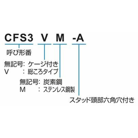 CFSA_形式.jpg