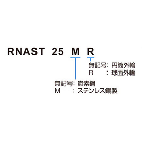 RNAST_形式.jpg