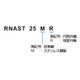 RNAST_形式.jpg