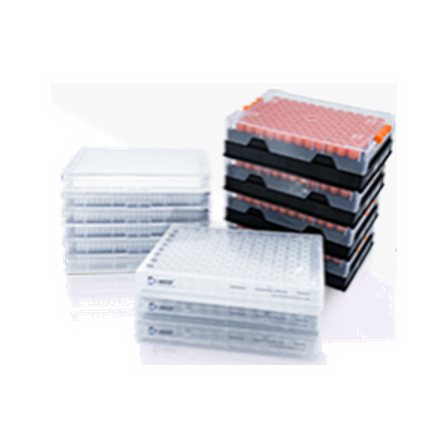 mce-library-plate2.png