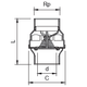 image_07.png