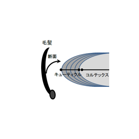 5b.png