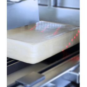 Cheese Block Scan.png