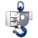 elebia-Option-EX_2.png
