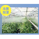?CoolPescon＜施設園芸向け＞ 画像3.png