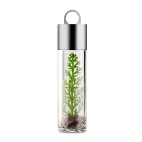 TAMIV_Ampoule_4ml_SoilPlant.jpg