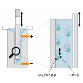 image_06.png