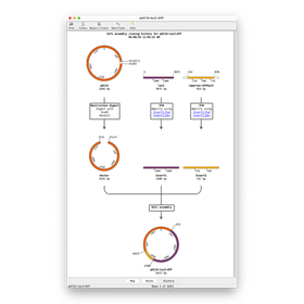 cloning-history-aligner-13-710x1024.png