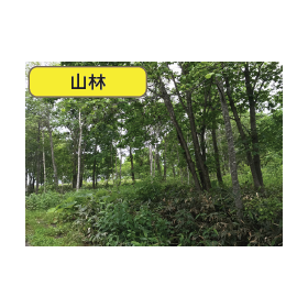 ?発電所用地買取 画像2.png