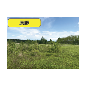 ?発電所用地買取 画像3.png