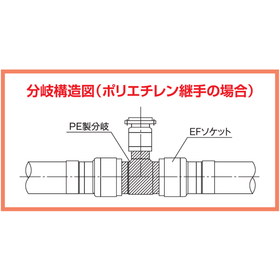 分岐構造図.png