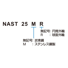 NAST_形式.jpg