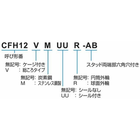 CFHAB形式.jpg